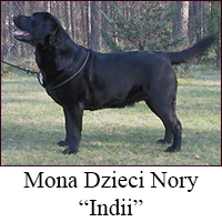 [Rozmiar: 67634 bajt�w]