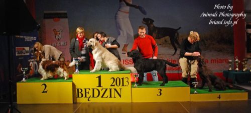 [Rozmiar: 23791 bajt�w]